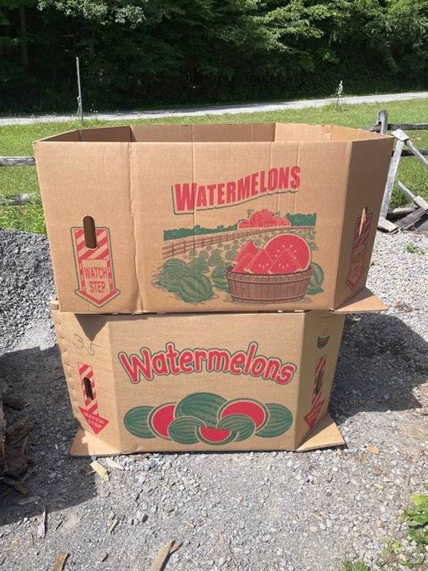 Watermelon Boxes