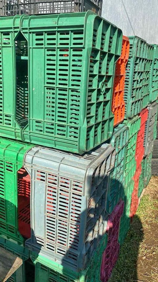 Used Plastic Crates - Omaha NE 68131