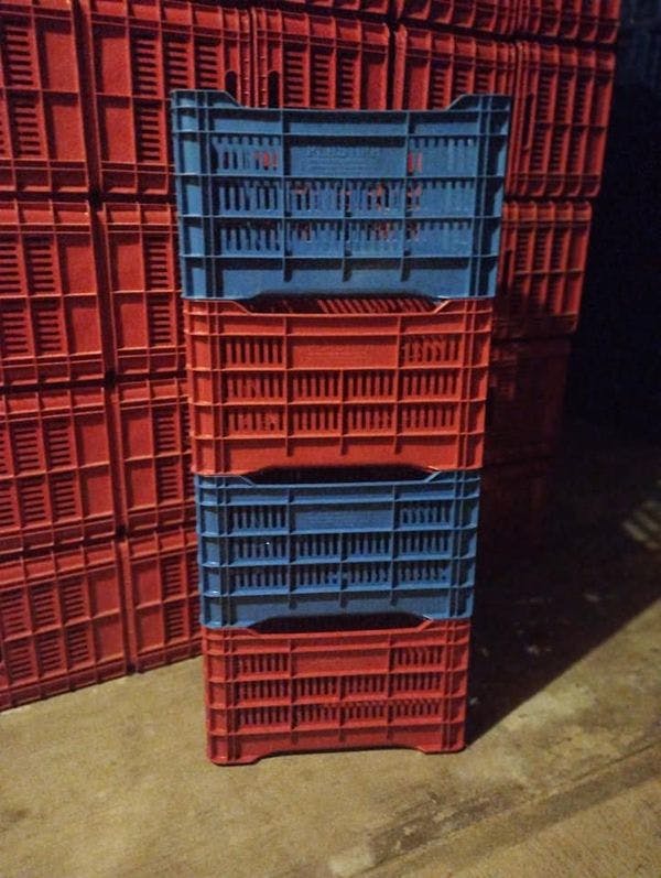 New Heavy-Duty Plastic Crates - Bellevue WA 98006