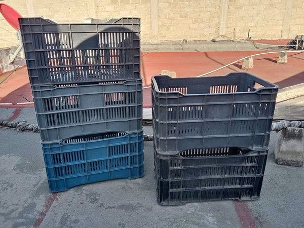 Used Produce Crates - Hobbs NM 88240