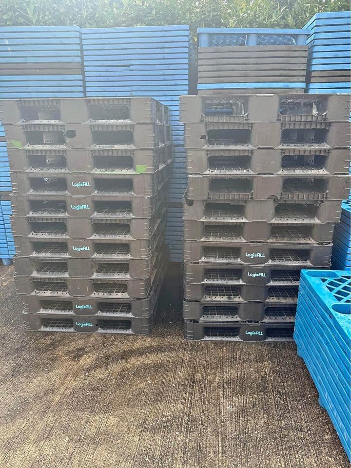 1200 x 1000 x 150 Plastic Pallets - Gillette WY 82716