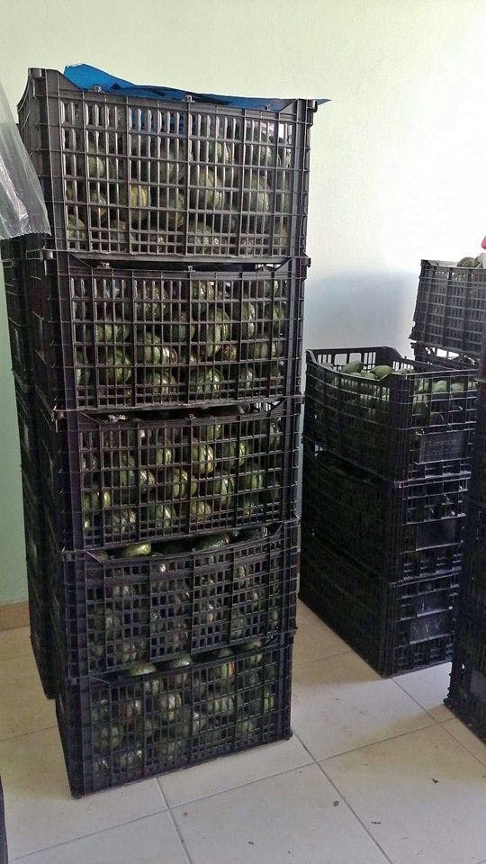 Used Plastic Storage Crates - Ames IA 50010