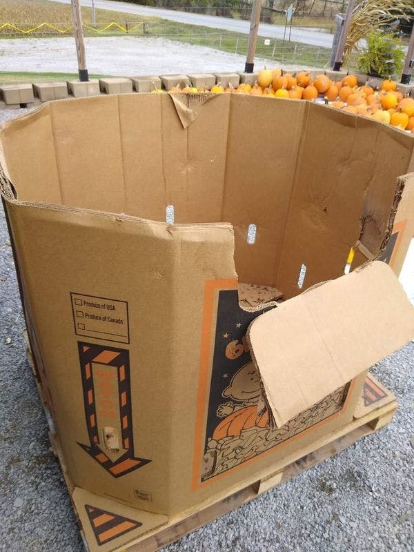 Used Gaylord Pumpkin Boxes 48 x 40 x 51 - Ewa Beach HI 96706	