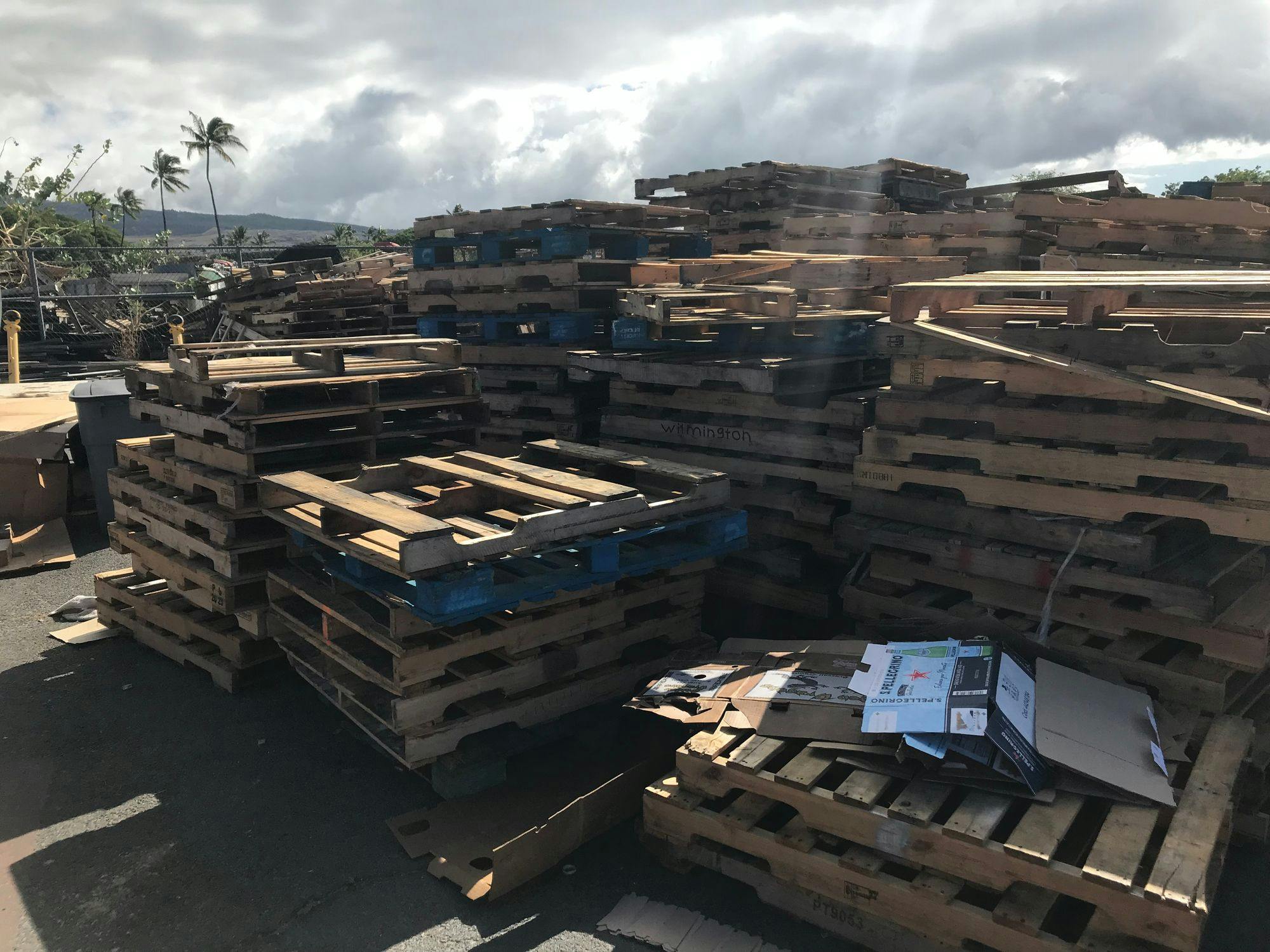 Scrap Wooden Pallets Cores 48 x 40 - Kailua-Kona, HI 96740