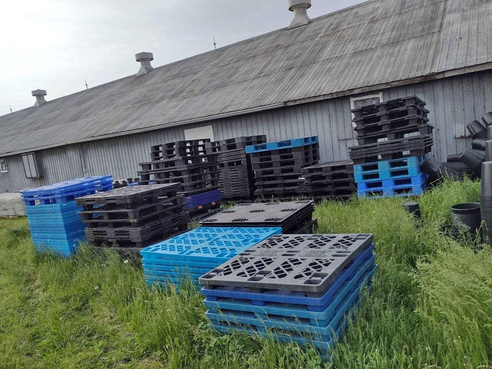 1200 × 1000mm Euro 2 Plastic Pallets - Flint MI 48532