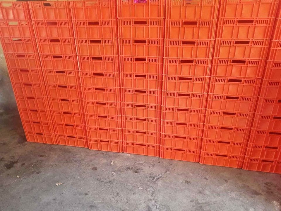 15x38x59 cm Plastic Crates - Murfreesboro TN 37129