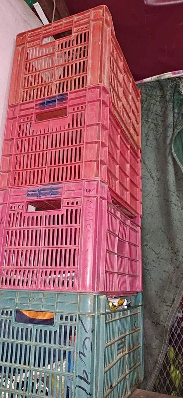 New Plastic Produce Crates - Huntington WV 25705
