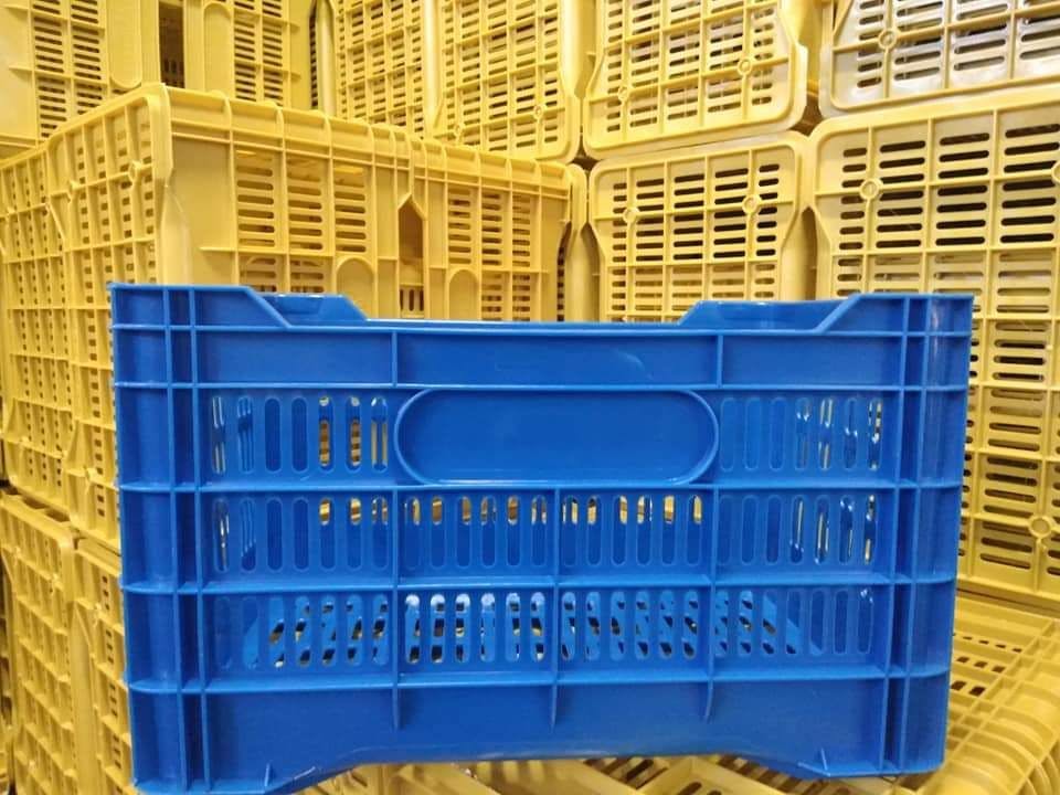 Used 30 kg Plastic Crates - Scottsdale AZ 85260