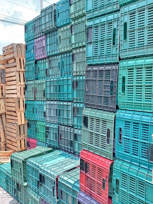 Heavy-Duty Plastic Crates for Sale - Bothell WA 98021