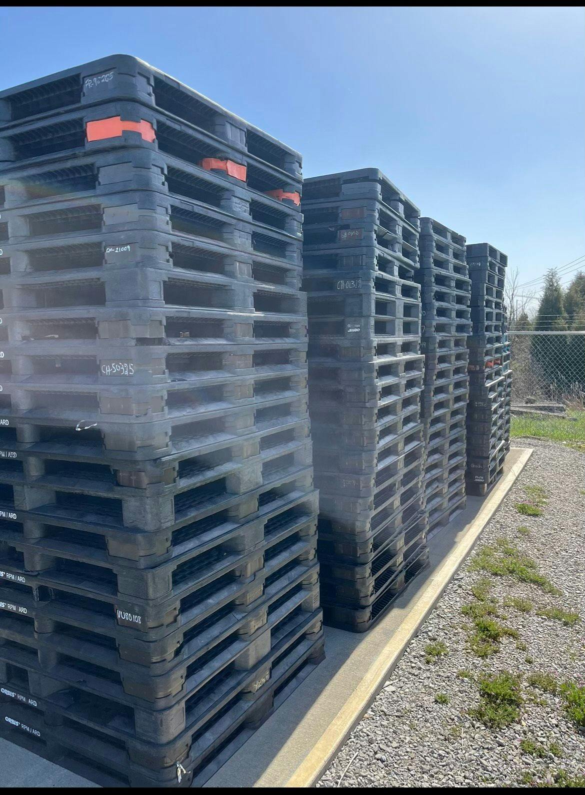 44 x 56 Used Orbis Plastic Pallets - Lexington KY 40515